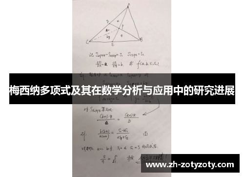 梅西纳多项式及其在数学分析与应用中的研究进展